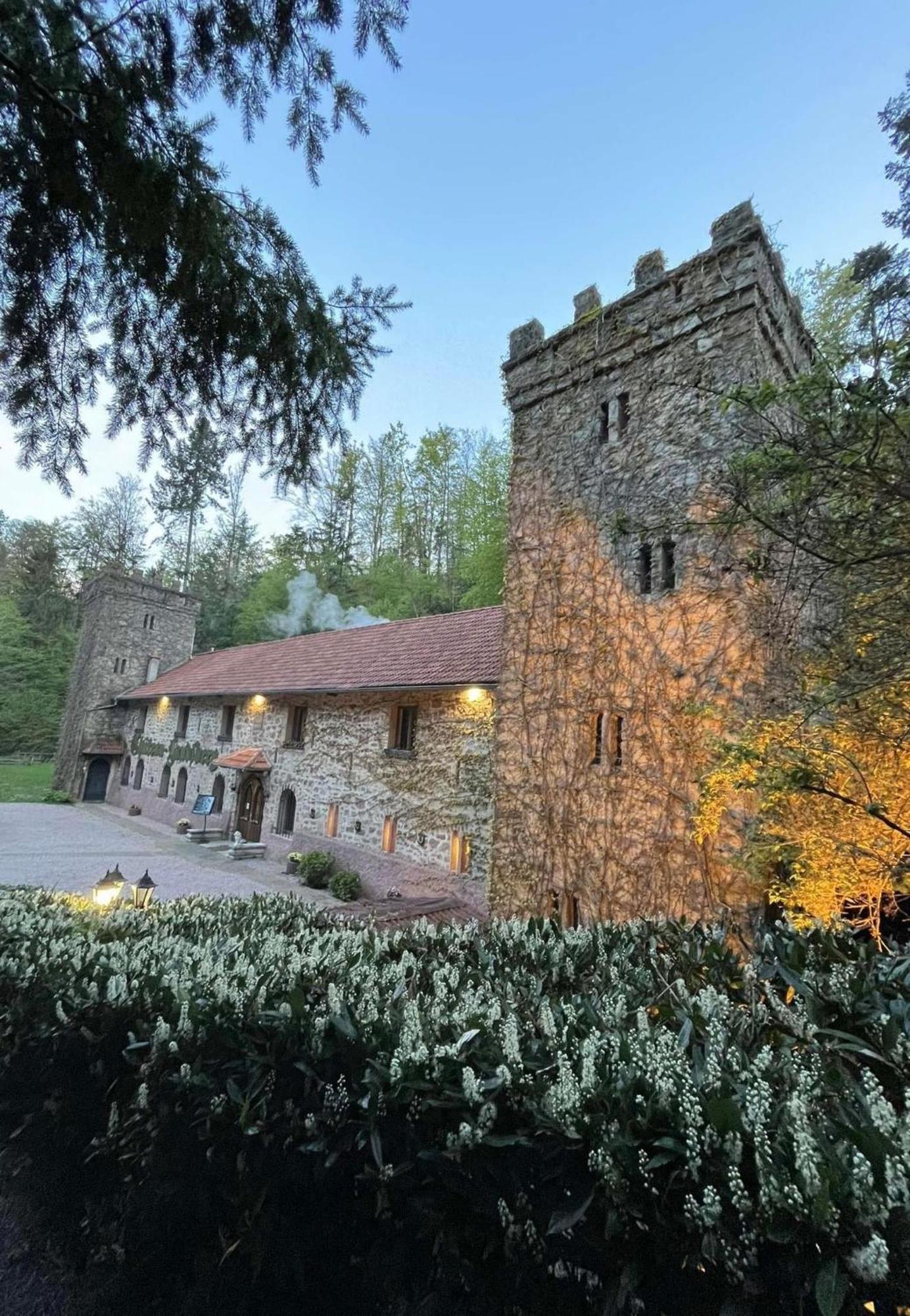 Le Chateau Du Landsberg Barr Exterior foto